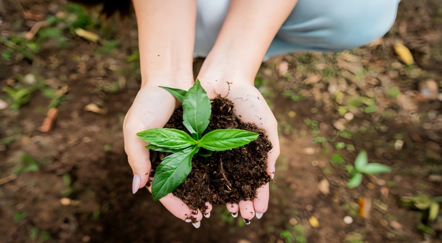 Xiwang Pharmaceutical