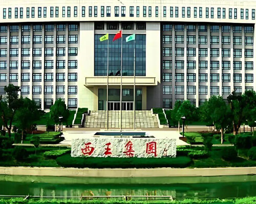 Xiwang Group Empowers High-quality Development Through Its Integrated Industrial Sector Enterprises